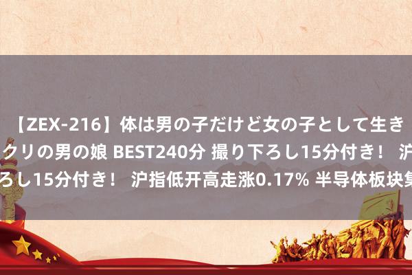 【ZEX-216】体は男の子だけど女の子として生きてる 感じやすいペニクリの男の娘 BEST240分 撮り下ろし15分付き！ 沪指低开高走涨0.17% 半导体板块集体上扬