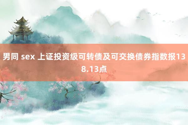 男同 sex 上证投资级可转债及可交换债券指数报138.13点