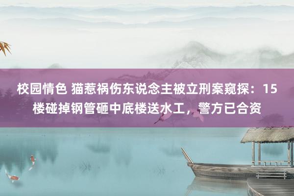 校园情色 猫惹祸伤东说念主被立刑案窥探：15楼碰掉钢管砸中底楼送水工，警方已合资