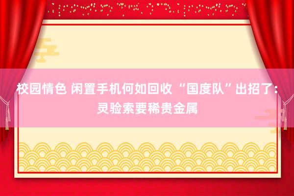 校园情色 闲置手机何如回收 “国度队”出招了：灵验索要稀贵金属