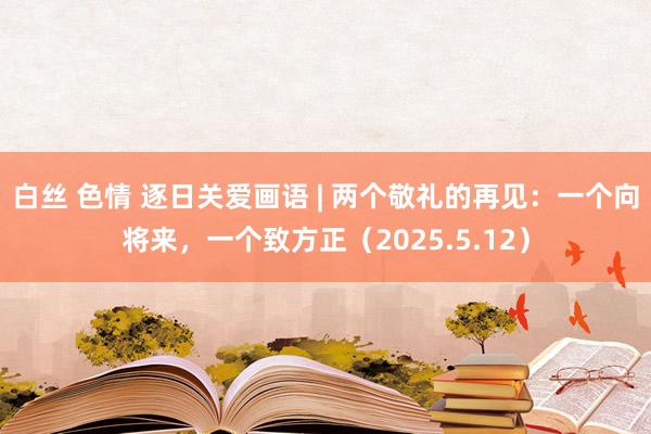 白丝 色情 逐日关爱画语 | 两个敬礼的再见：一个向将来，一个致方正（2025.5.12）
