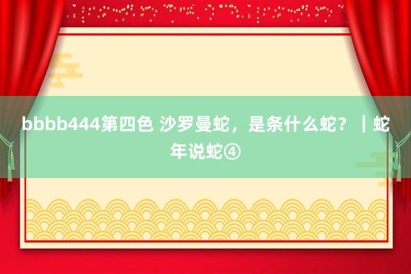 bbbb444第四色 沙罗曼蛇，是条什么蛇？｜蛇年说蛇④