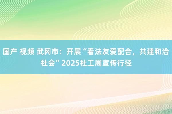 国产 视频 武冈市：开展“看法友爱配合，共建和洽社会”2025社工周宣传行径