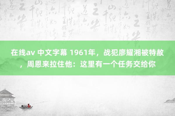 在线av 中文字幕 1961年，战犯廖耀湘被特赦，周恩来拉住他：这里有一个任务交给你