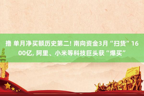 撸 单月净买额历史第二! 南向资金3月“扫货”1600亿， 阿里、小米等科技巨头获“爆买”