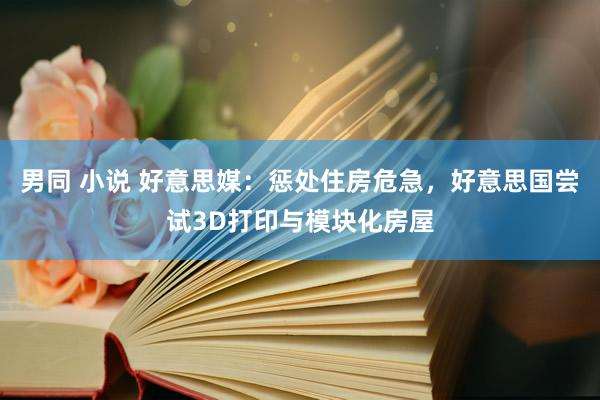 男同 小说 好意思媒：惩处住房危急，好意思国尝试3D打印与模块化房屋