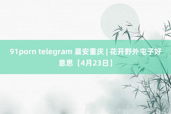91porn telegram 晨安重庆 | 花开野外屯子好意思【4月23日】