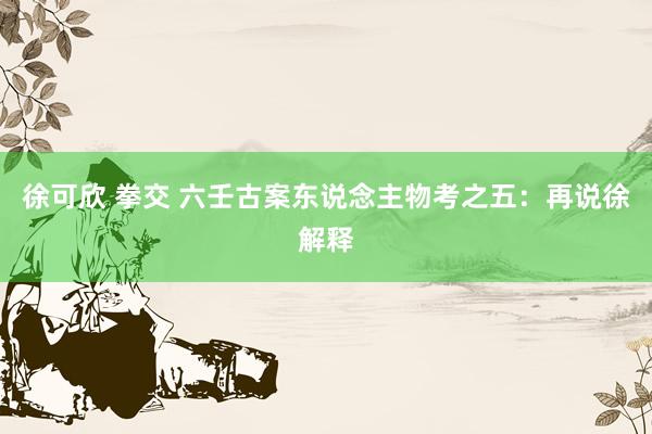 徐可欣 拳交 六壬古案东说念主物考之五：再说徐解释
