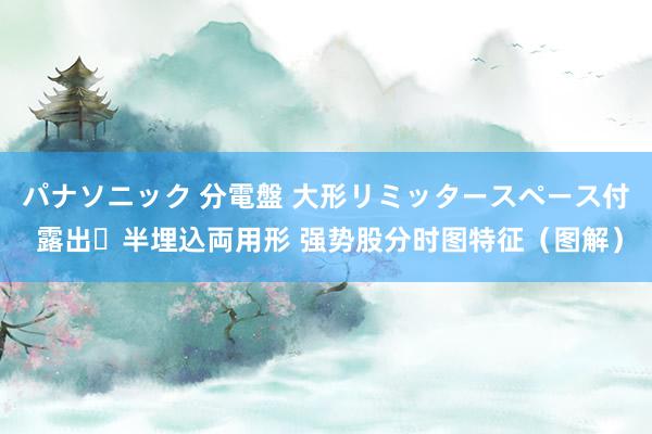 パナソニック 分電盤 大形リミッタースペース付 露出・半埋込両用形 强势股分时图特征（图解）