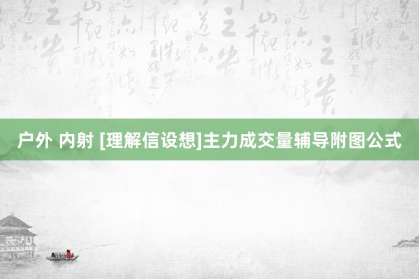 户外 内射 [理解信设想]主力成交量辅导附图公式