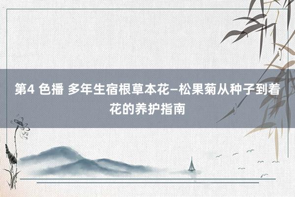 第4 色播 多年生宿根草本花—松果菊从种子到着花的养护指南