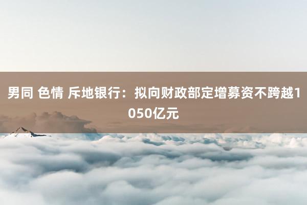 男同 色情 斥地银行：拟向财政部定增募资不跨越1050亿元